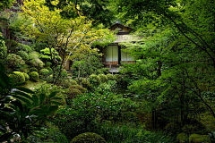 栀芓采集到植意——禅意 日式