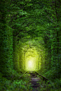Bright-light-on-path-in-forest-scaled.jpg (1707×2560)