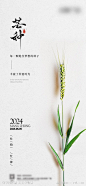芒种海报-源文件-志设网-zs9.com