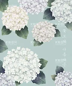 花朵手绘绣球花水粉水彩  - 源文件下载【酷图网】新中式,日式,古风,简约,清新,花卉,荷花,樱花,植物,手绘,装饰画,画芯,化妆品,海报,元素,素材,