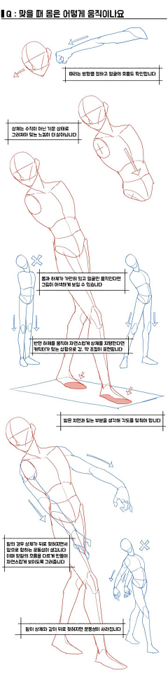 ANdaLU采集到人体结构