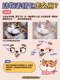 suda-采集到C 插画练习