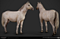 GHOST OF TSUSHIMA - HORSES, LITTLE RED ZOMBIES : We've had the amazing opportunity to work together with Sucker Punch Productions on GHOST OF TSUSHIMA!

These are some of the horse textures and fur samples that we worked on/

Nakshatra Solanki was respons