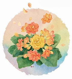 tablestudio采集到botanical art