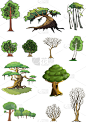树林,分离着色,生物学,有机食品,自然,图像,枝,叶子,树,装饰