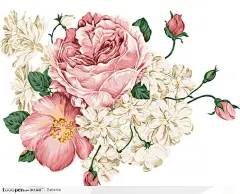 漂亮的手绘风格牡丹花