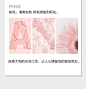 服装详情颜色模块配色创意部分