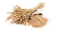 Wheat PNG