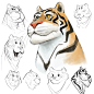 Various tigers