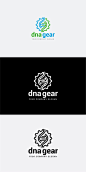 dna装备 dna gear 设计素材