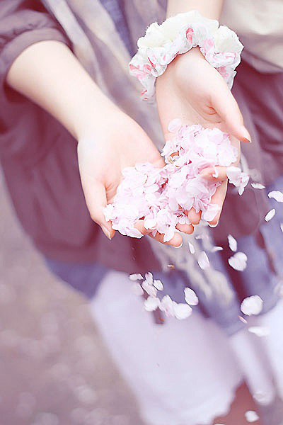 人生就如手中的花瓣一样，充满了幸福、温馨...