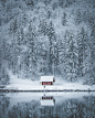 House, Field, and Tree Covered With Snow Near Body of Water