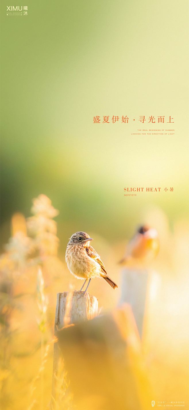 小暑