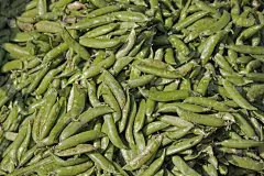 市场,甜碗豆,豌豆,水平画幅,绿色,豌豆荚,豆科植物,农产品市场,堆,农业市集