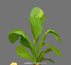 密斯特唐采集到草