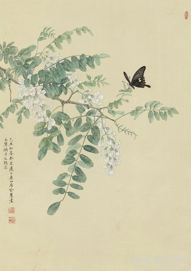 芒种 槐叶-花瓣网