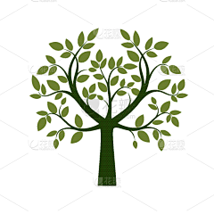 绿色,创造力,自然,华丽的,高雅,冬天,图像,苹果树,树,装饰