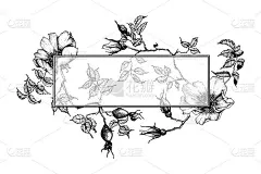 季节矢量玫瑰花圈设计。手绘盛开的花，花，花瓣，茎，叶。采购产品花的剪纸，婚礼，邀请，问候，引用，新娘