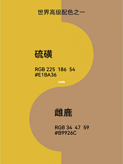 1++采集到配色