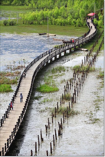 走婚桥，位于泸沽湖东南水域的草海区域，是...