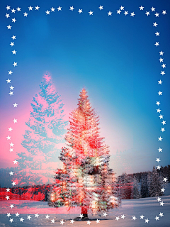 記憶裏的一點陽光采集到Photofox & 花瓣圣诞树创意图片创作大赛