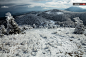 当地时间2014年12月22日消息（具体拍摄时间不详），斯洛文尼亚Dynaric山地，这是一场暴风雪天气之后的景象。两天的暴风雪令山地气温下降至零下，一眼看到的东西都变成了冰霜。山中大树全部变成了白色，一些甚至由于上面覆盖的冰过重而被压断。极端天气摄影师Marko Korosec记录下来了这一壮观的场景。c