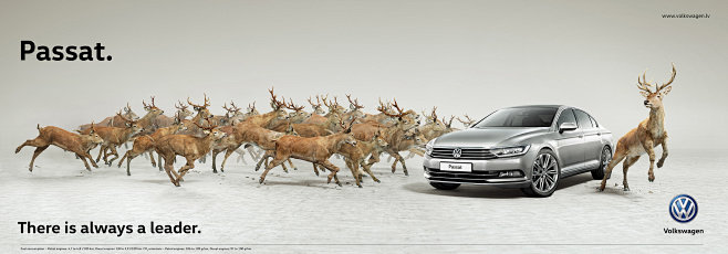Volkswagen Passat. T...