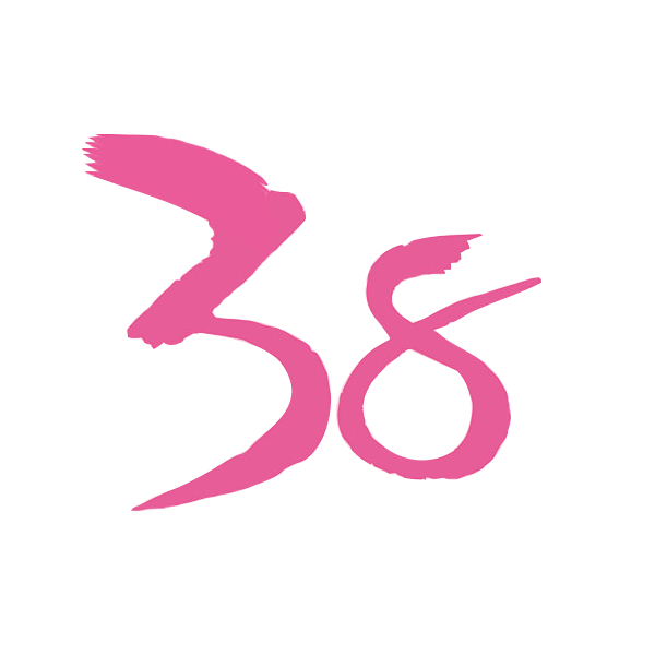 38毛笔字