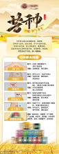 芒种二十四节气养生产品介绍海报 - 源文件