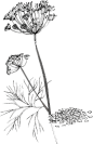 未标题-1