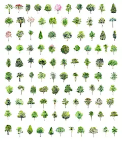 植树节海报  展板 保护环境   - 源文件下载【酷图网】植树节海报,展板,保护环境,绿色环保,公益植树,312植树节,社区活动,树木,素材背景,