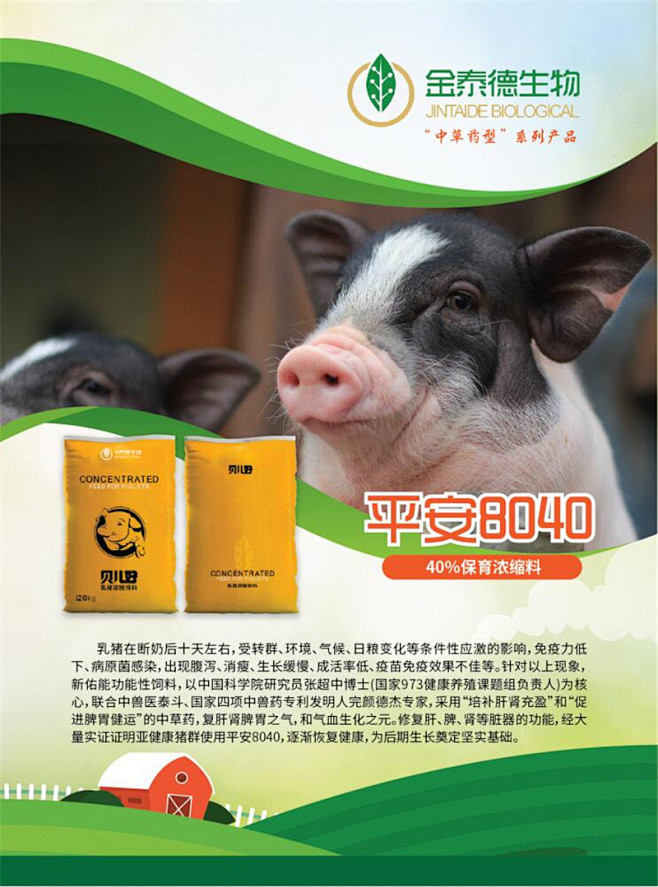 天津市新型饲料宣传单天津市找海报宣传单设计 