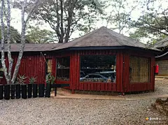 非洲最温柔的野生动物公园---肯尼亚长颈鹿公园