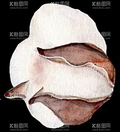 水彩棉花   - 源文件下载【酷图网】水彩棉花,圣诞水彩鹿,水彩树叶树枝,圣诞节装饰,圣诞花环,手绘树枝,圣诞节,手绘圣诞节,树枝,树叶,枝叶,圣诞素材,树枝免扣素材,花朵,手绘花朵,金色素材,金色,