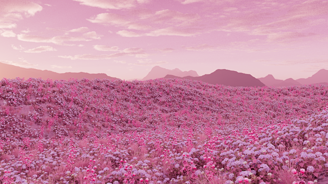 花海