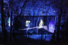 Shiny_H采集到夜游·Nightscape lighting