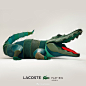 @Lacoste 的个人主页 - 微博