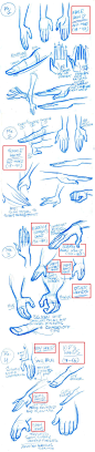 Stylized Hands model sheets by tombancroft on deviantART