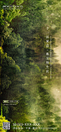 【源文件下载】 海报 春分 二十四节气 森林 树林 