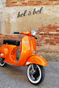 An orange Vespa! Love! I also adore the font of the"bel & bel" . Wonder if that would work better as a mixed font for the site?: 