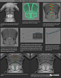 ZBrush比较常用的图文教程 : ZBrush比较常用的图文教程
