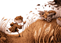 Picture book children's book illustration Editorial Illustration