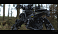 Artillery NeoEuropa mech ACOX1, Daniele Trevisan : I designed the ACOX1 with the idea in mind of a fast and agile mech equipped w/ a SAM platform ( infra-red, passive radar/ESM system), a 20mm CIWS and a frontal ultrasonic cannon. ACOX1 mechs are a sentie