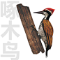 啄木鸟