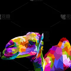 肖像,骆驼,分离着色,平衡折角灯,幽默,可爱的,几何形状,野生动物,哺乳纲,动物