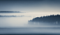 Ethereal Silence : Ethereal silence captured in photos of finnish forests and trees.