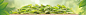 首页-艺福堂茗茶旗舰店-天猫Tmall.com