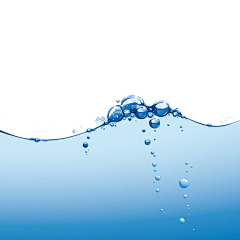 一只蘑菇头采集到雨水