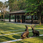 泰国私人住宅花园景观 j residence by TROP-mooool设计