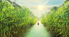 阿良多采集到动漫风景